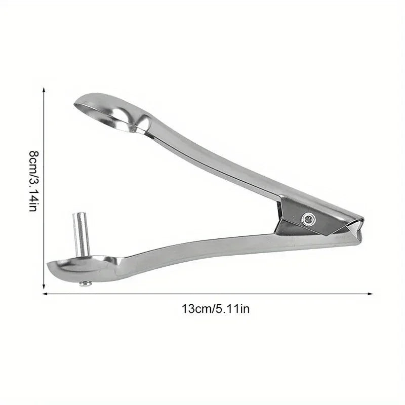 Cherry & Olive Pitter Tool – Stainless Steel Pit Remover Fruit Pitter Tool Axl WHITE