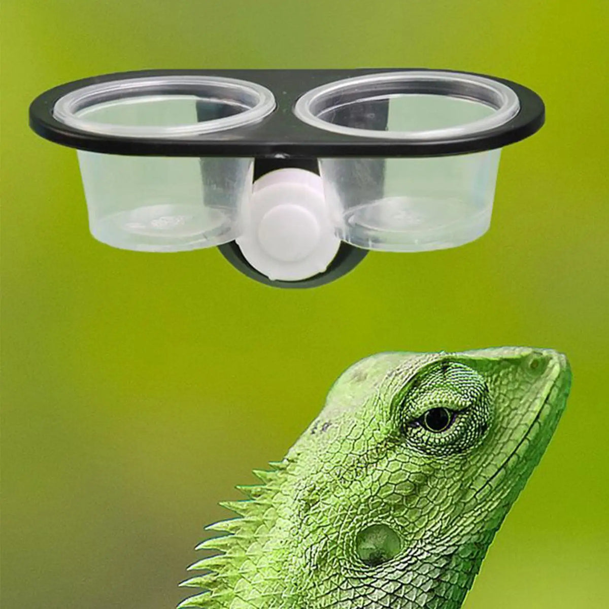 Reptile Food & Water Dish | 4-Cup Feeder Tray for Gecko Lizard Reptile Feeder Dish Axl