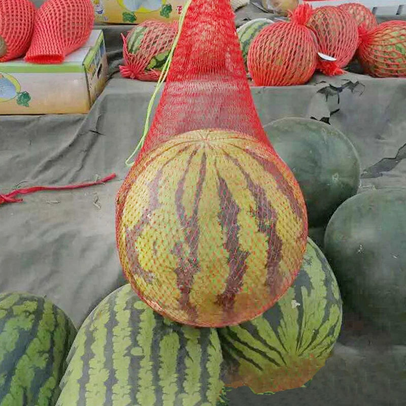 100 Pcs Hanging Garden Mesh Net Bags – Melon & Vegetable Support Garden Mesh Net Bags Axl