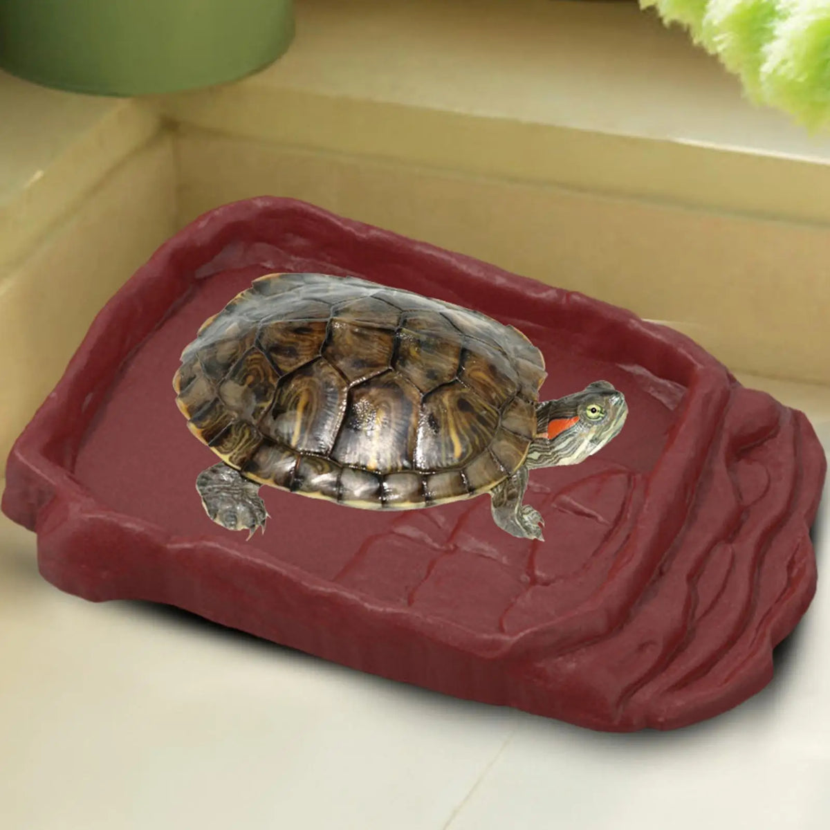 Reptile Water Dish & Bathing Pool with Anti-Slip Ladder Reptile Water Dish Axl