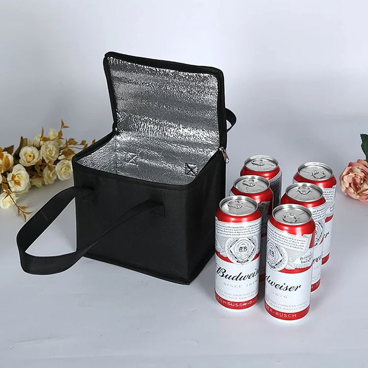 Portable Thermal Insulated Cooler Bag for Picnic & Camping Insulated Cooler Bag Axl