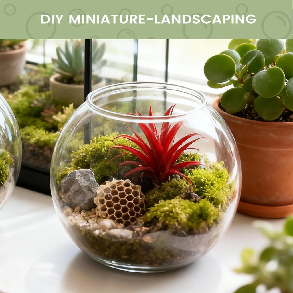 Mini Shatter-Resistant Fish Bowl | Bubble Planter & Centerpiece Decorative Fish Bowl Axl