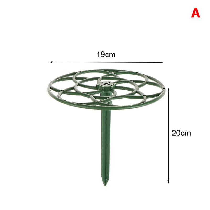 Stackable Plant Climbing Frame – Bonsai & Vine Support Cage Plant Support Frame Axl A