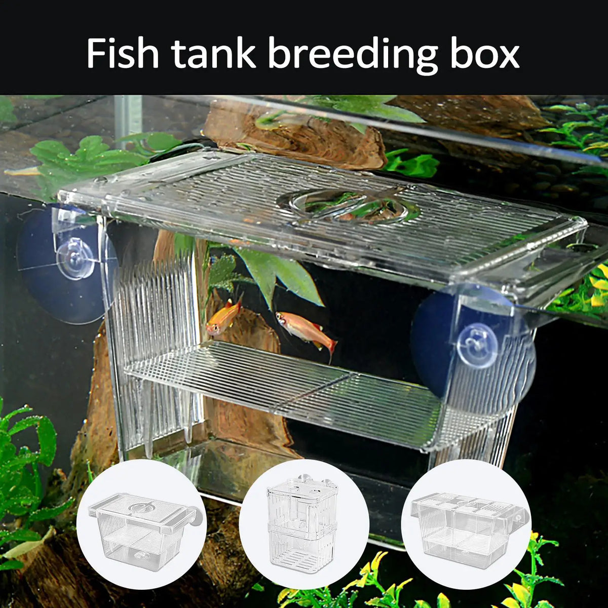 Acrylic Fish Breeding Box – Aquarium Nursery & Hatchery Aquarium Breeder Box Axl