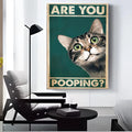 Funny Cat Canvas Wall Art – "Are You Pooping?" HD Print Poster Canvas Wall Art Axl Black9 50X70cmFrameless