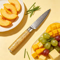 Damascus Steel 67-Layer Paring Knife – Sharp Chef Kitchen Tool Damascus Paring Knife Axl Fruit Knife