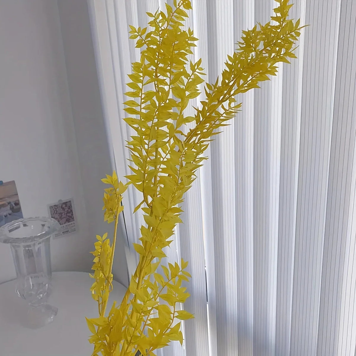 Natural Ruscus Dried Flower Bouquet 40g – Boho Home Decor Dried Flower Bouquet Axl 40g Yellow