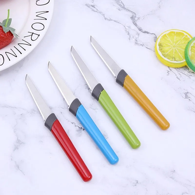 4-Piece Stainless Steel Fruit Knife & Peeler Set – Candy Colors Fruit Knife Set Axl