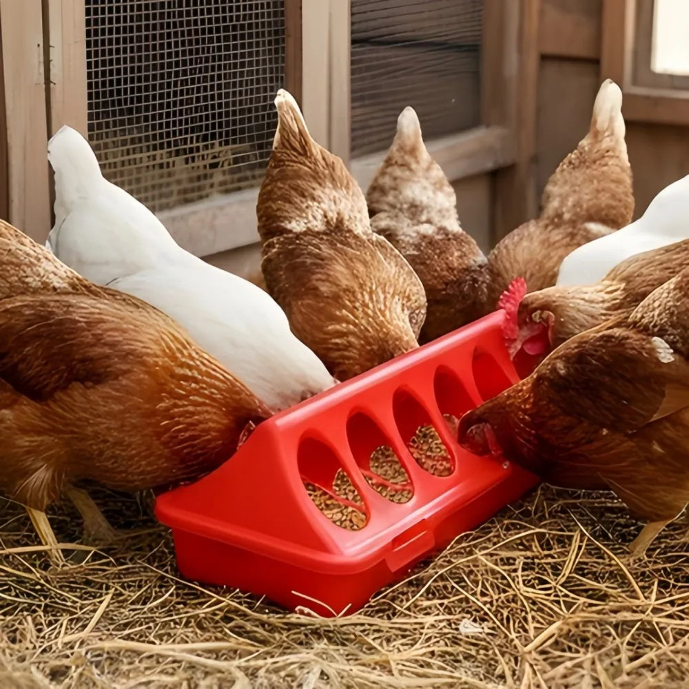 12/18 Hole Double Row Plastic Poultry Ground Feeder – Chickens Poultry Ground Feeder Axl
