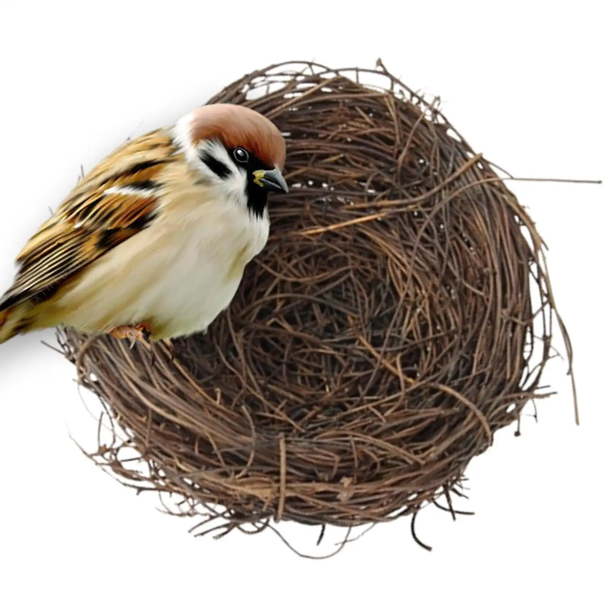 Handwoven Rattan Bird Nest – Parakeet & Small Animal Cage House Bird Nest House Axl