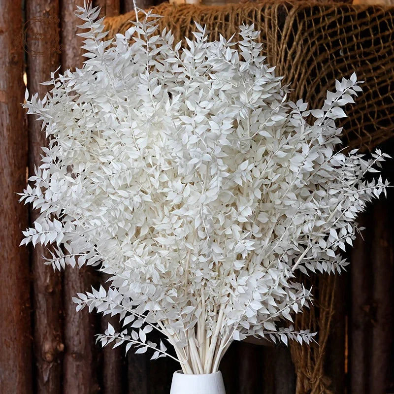Natural Ruscus Dried Flower Bouquet 40g – Boho Home Decor Dried Flower Bouquet Axl