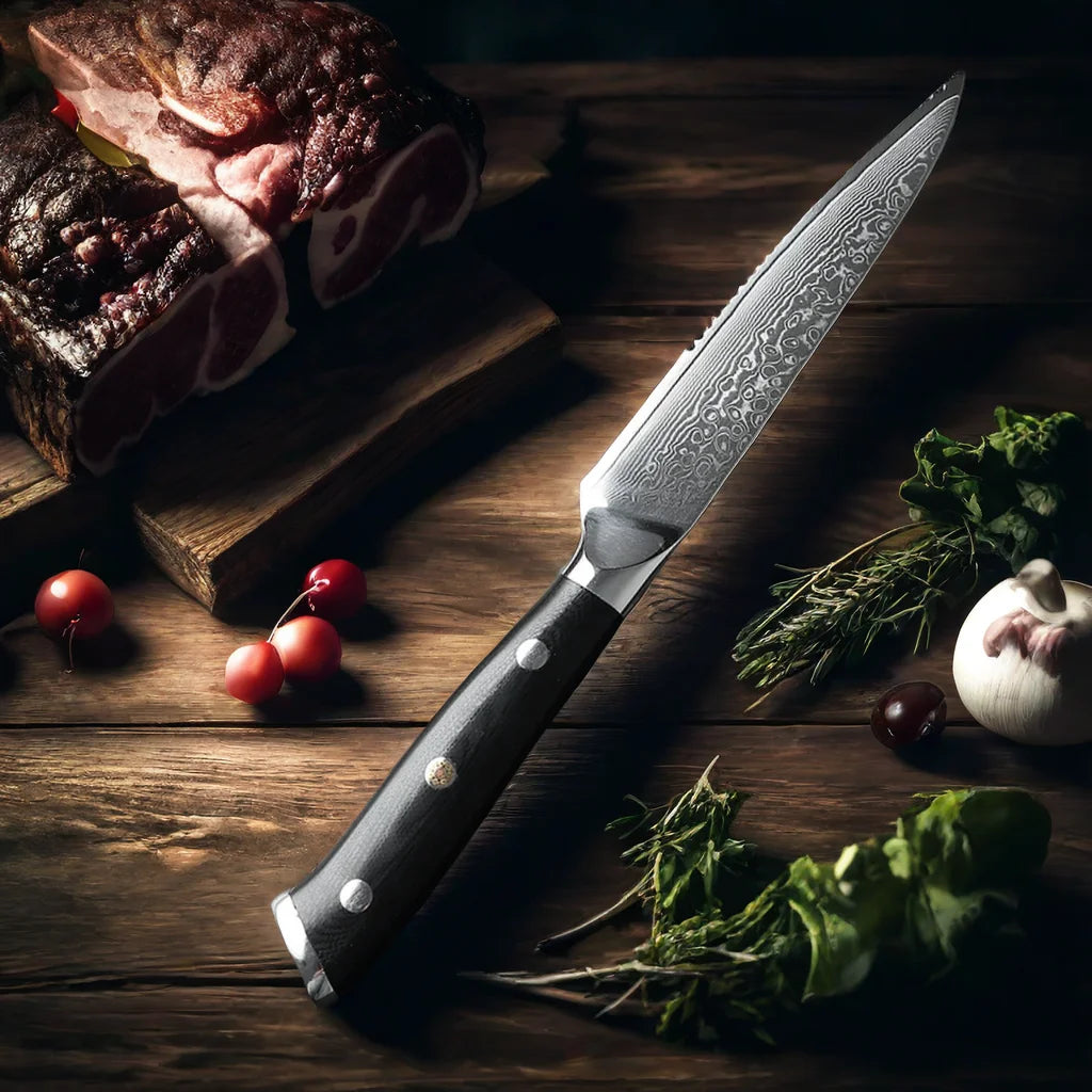 4-Piece Damascus Steel Steak Knife Set | 67-Layer G10 Handle Steak Knife Set Axl Red