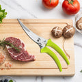 Professional Stainless Steel Kitchen Scissors & Heavy-Duty Shears Kitchen Scissors Axl Scissors-Green