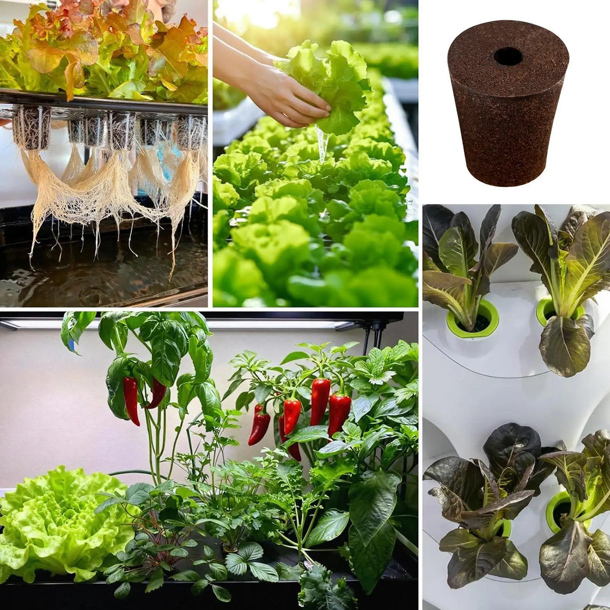 Hydroponic Growing Sponges 50-Pack – Seed Pod & Clone Kit Hydroponic Growing Sponges Axl