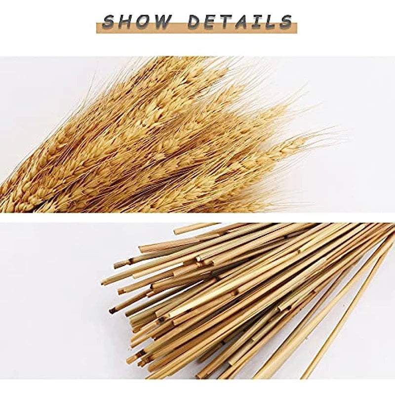 Dried Wheat Spikes Bouquet – Boho Home & Wedding Decor Dried Flower Bouquet Axl