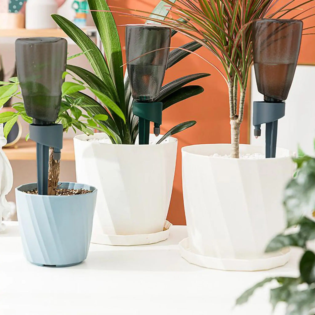 Automatic Plant Watering Spikes – 6 Pack Drip Irrigation Kit Drip Irrigation Kit Axl