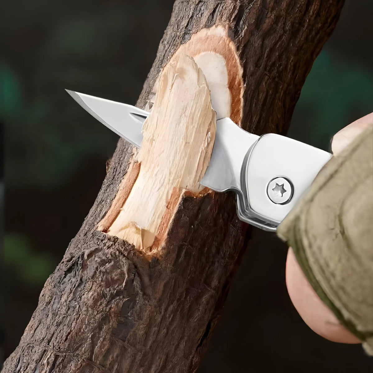 Mini Folding Pocket Knife – Keychain Utility & Unboxing Tool Folding Pocket Knife Axl