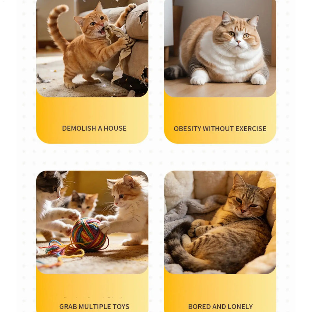 USB Rechargeable Wall-Mount Interactive Electric Cat Toy Interactive Cat Toy Axl