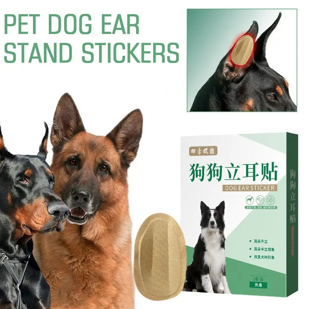 Dog Ear Stand Up Stickers – 2pc Set for Large & Small Dogs Dog Ear Stickers Axl