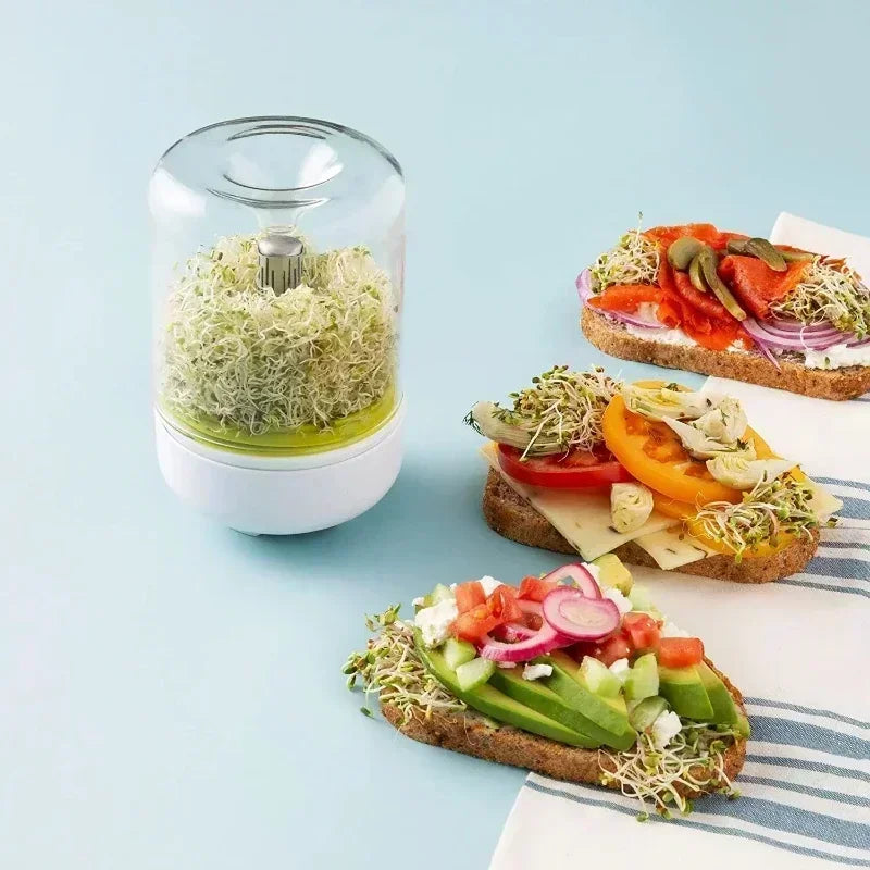 Countertop Sprouting Jar Kit – Borosilicate Glass Sprout Grower Sprouting Jar Kit Axl