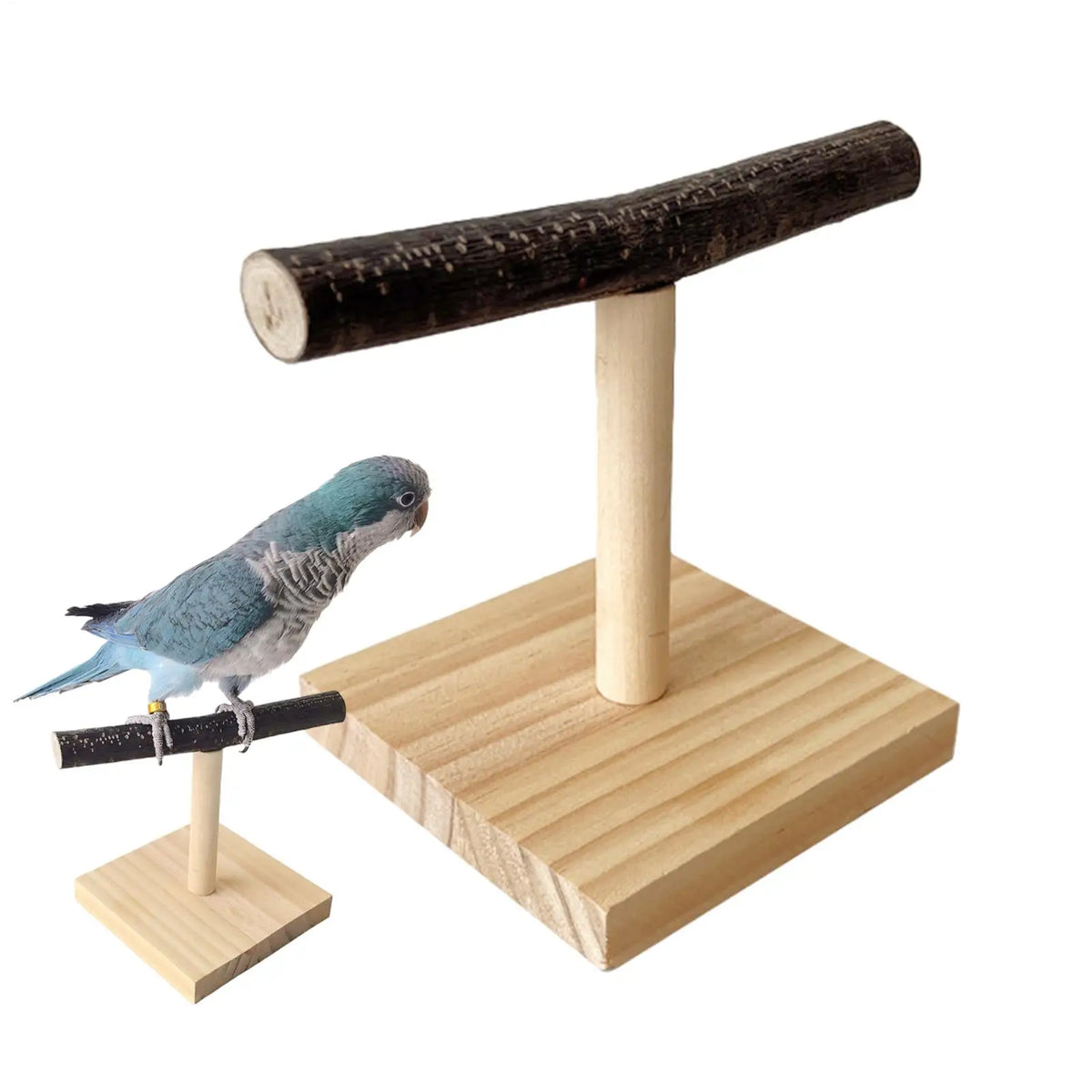 Natural Wood Parrot T-Perch Stand – Chew Toy & Training Perch Bird Perch Stand Axl