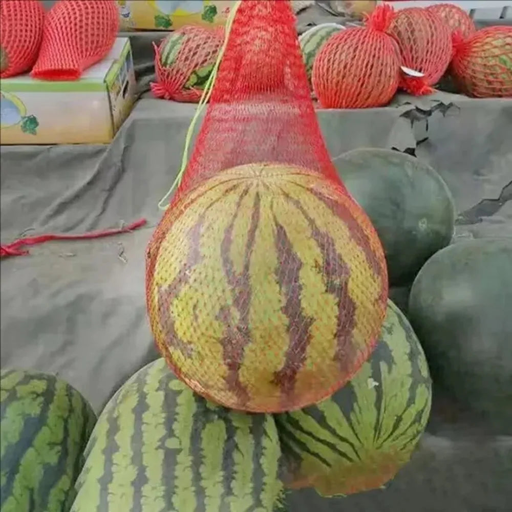 100 Pcs Fruit Hanging Net Bags – Melon, Pumpkin & Watermelon Fruit Support Nets Axl