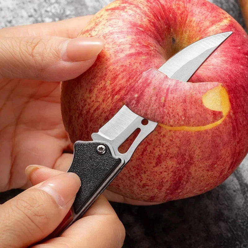 Stainless Steel Pocket Knife Set – EDC Camping & Fruit Knife Camping Pocket Knife Axl