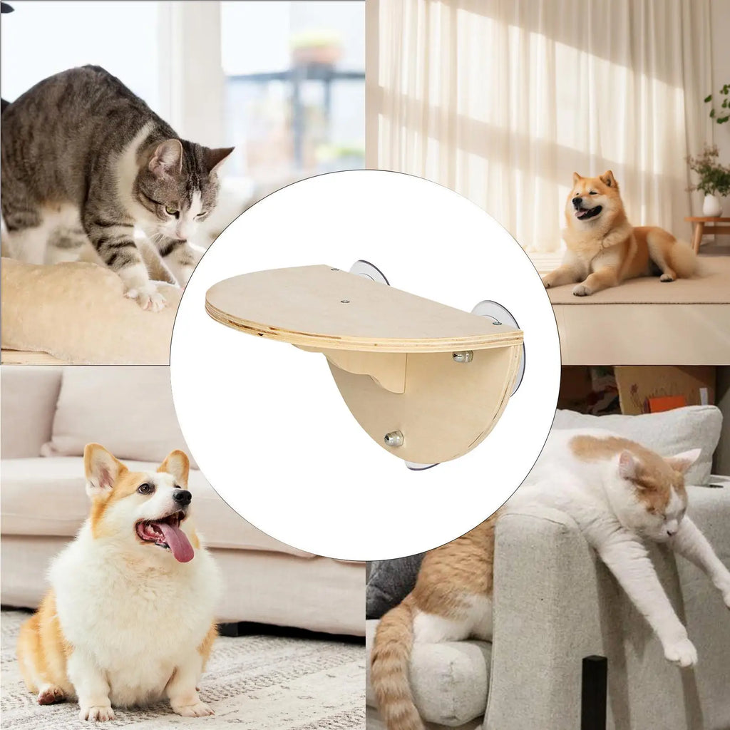 Cat Window Perch Bed – 44 lb, Suction Cups & Soft Felt Pad Cat Window Perch Axl