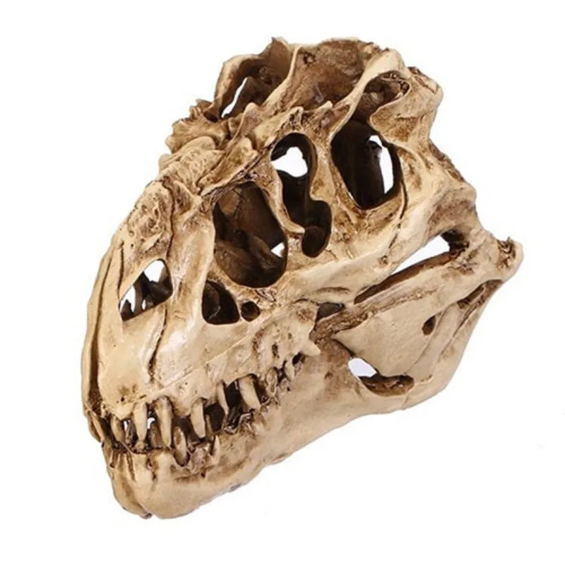 Resin Dinosaur Skull Fossil Model – Halloween & Room Decor Decorative Figurine Axl