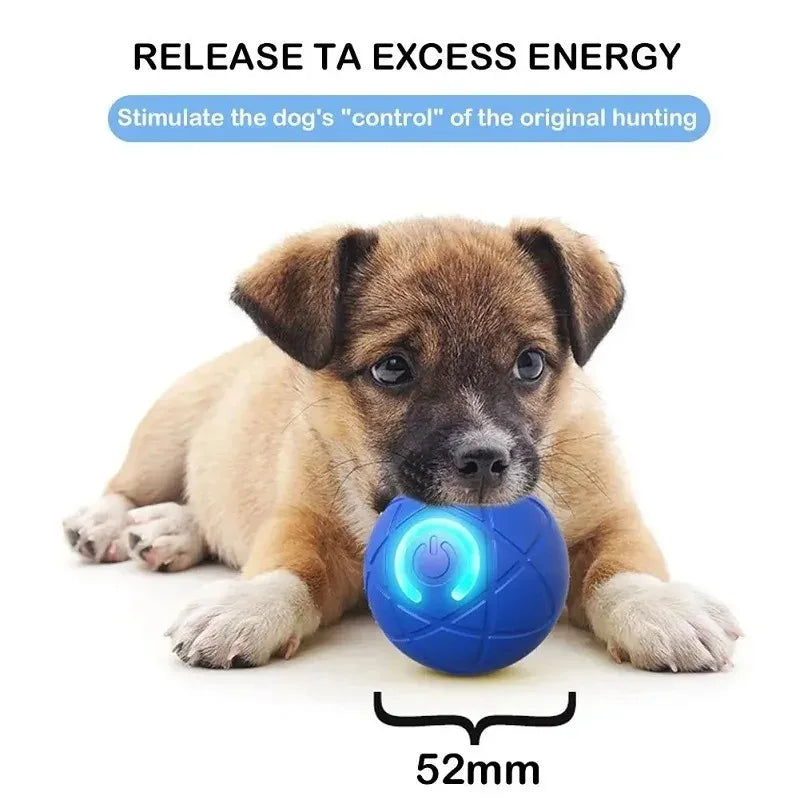 Rechargeable Auto-Rolling Interactive Dog Toy Ball – 2 Modes Interactive Dog Toy Axl
