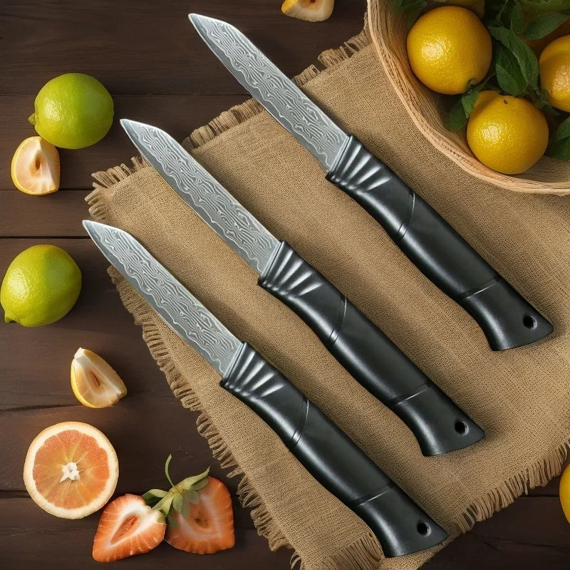 Damascus VG10 Paring Knife – Sharp Fruit & Vegetable Knife Damascus Paring Knife Axl