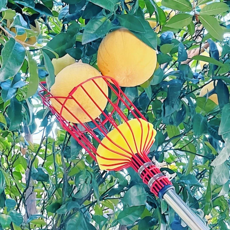 Deep Basket Fruit Picker Head – Garden & Orchard Tool Fruit Picker Head Axl