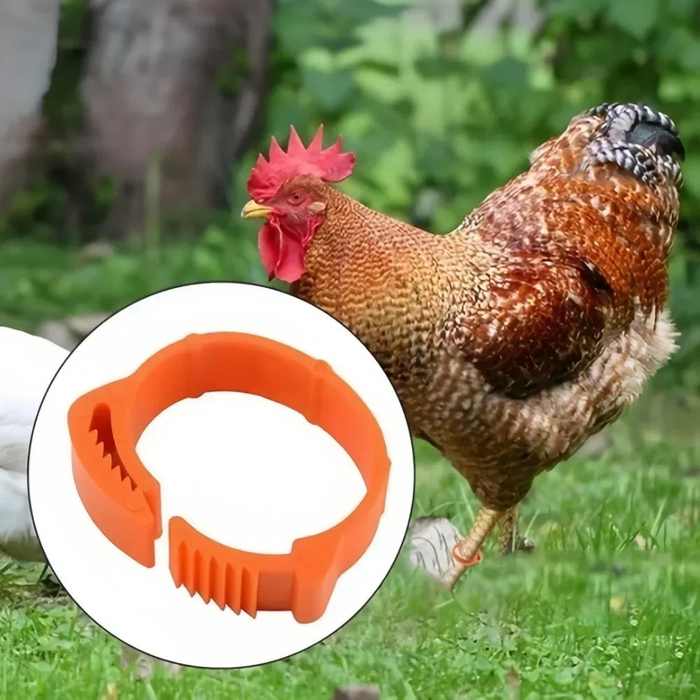 50 Pcs Numbered Chicken Leg Bands – Adjustable Poultry Foot Rings Poultry Leg Bands Axl