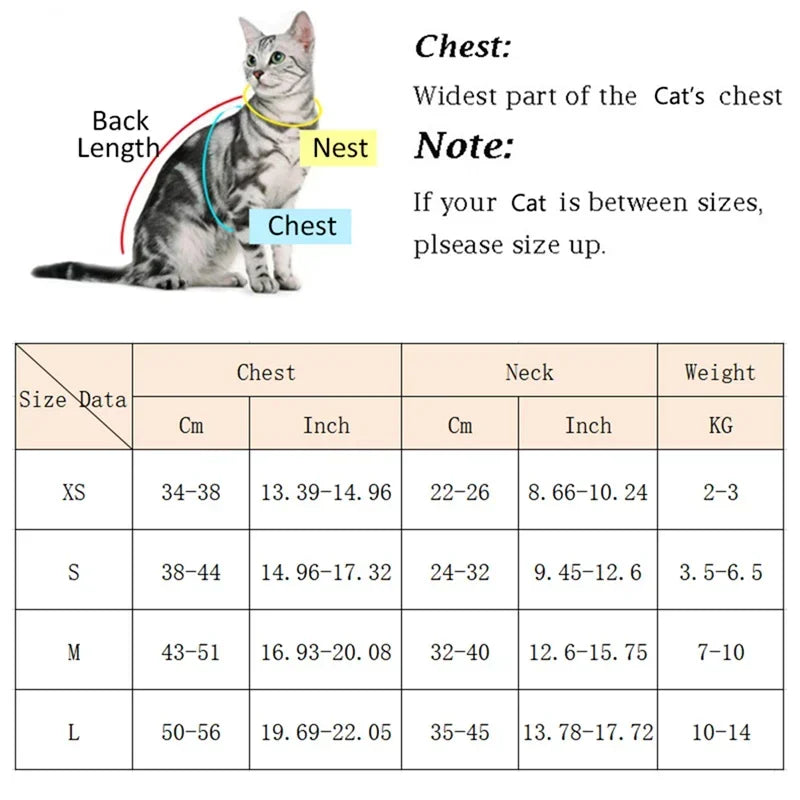 Breathable Pet Harness & Leash Set for Cats & Small Dogs Pet Harness Set Axl