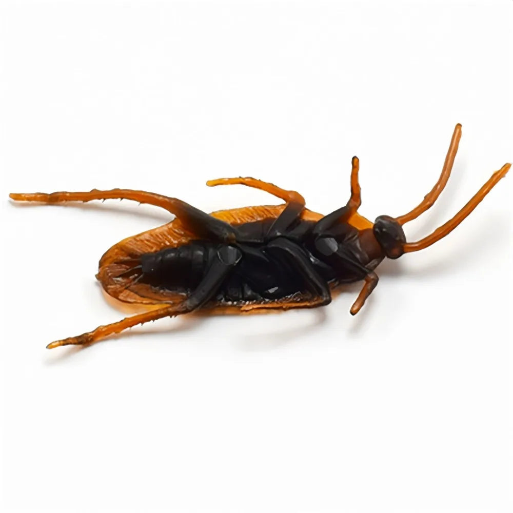 Realistic Fake Cockroaches – Halloween & April Fools Prank Props Prank Gag Toys Axl