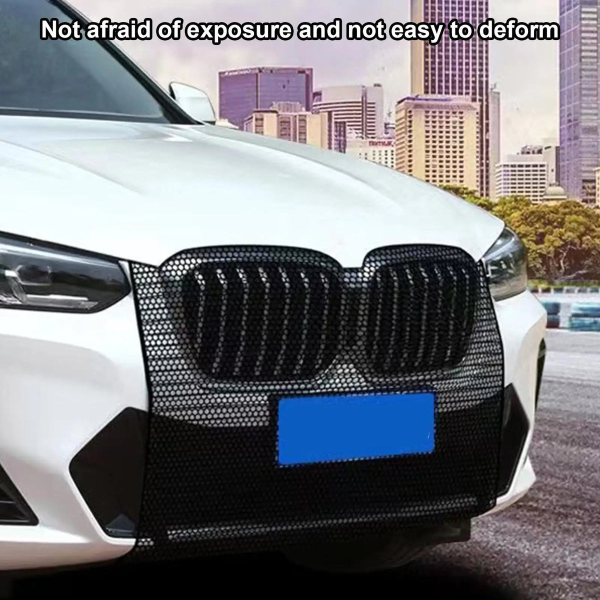 Car Hood Mesh Grille – Dustproof Radiator Protection Net Car Grille Mesh Axl