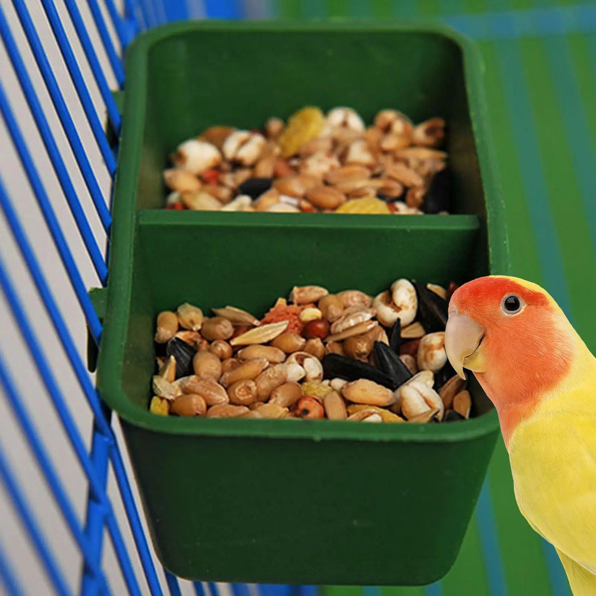 2-in-1 Parrot Food & Water Bowl | Bird Cage Feeder Cup Bird Cage Feeder Axl