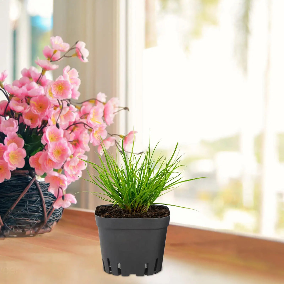 50-Pack Black Seedling Starter Pots with Drainage Holes Seedling Nursery Pots Axl