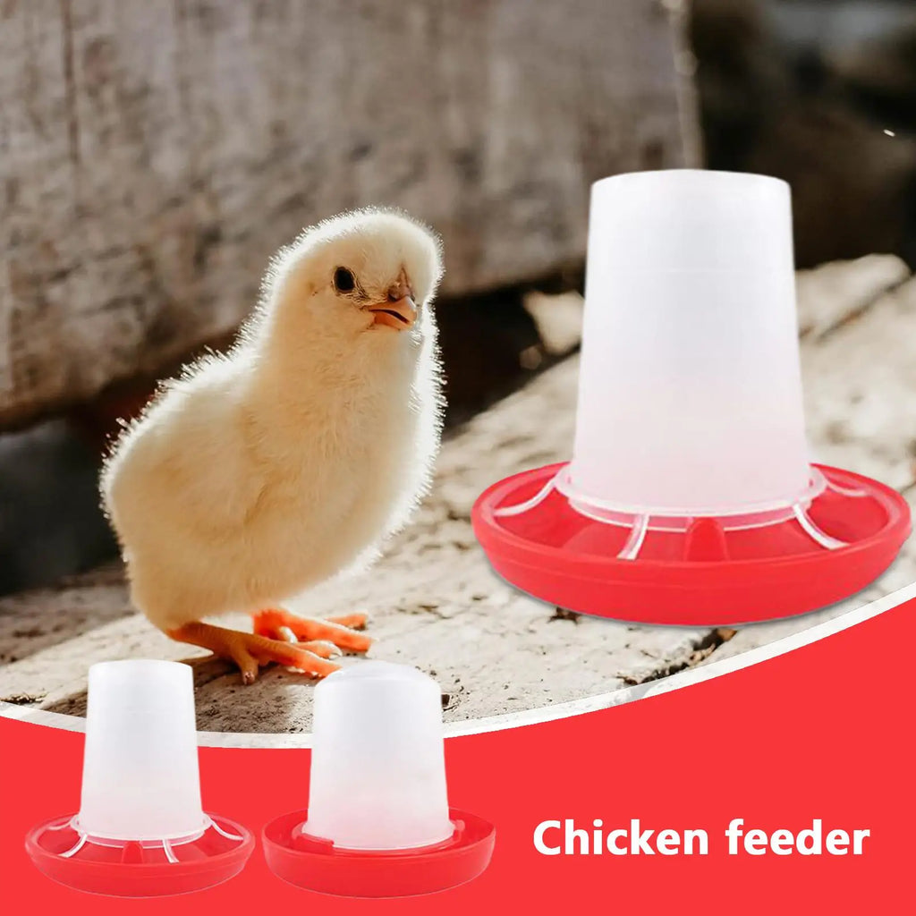 Automatic Chicken Waterer & Feeder Set | Gravity-Fed Poultry Poultry Waterer Feeder Axl