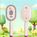 2-in-1 Nano Steam Hair Brush – Anti-Static Misting Comb Steam Hair Brush Axl A3