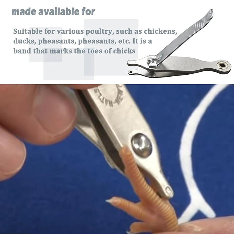 Chicken Toe Punch – ID Tool for Chicks, Ducklings & Mice Poultry ID Tool Axl