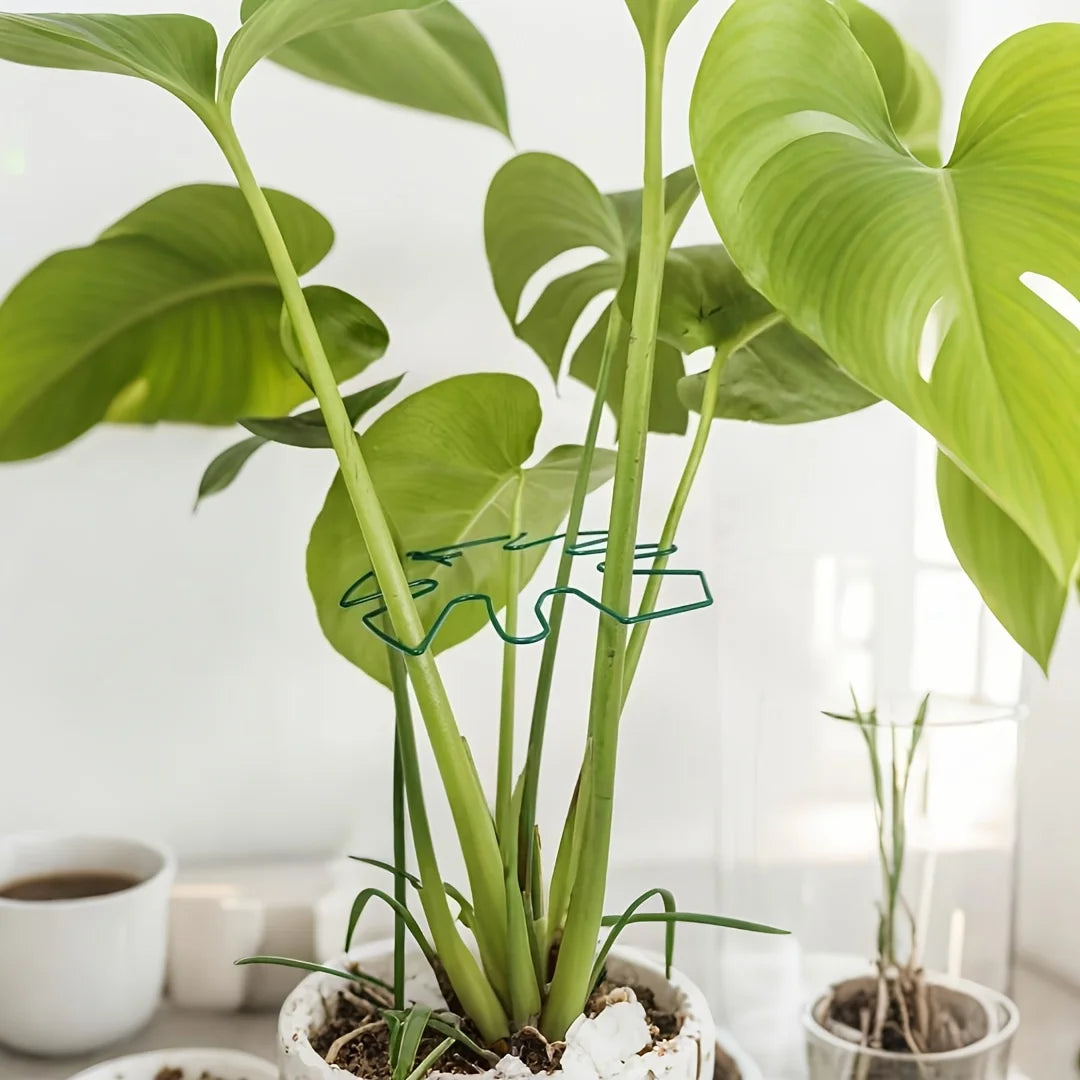 2-Pack Metal Monstera Plant Support Stakes with Bamboo Grip Plant Support Stakes Axl