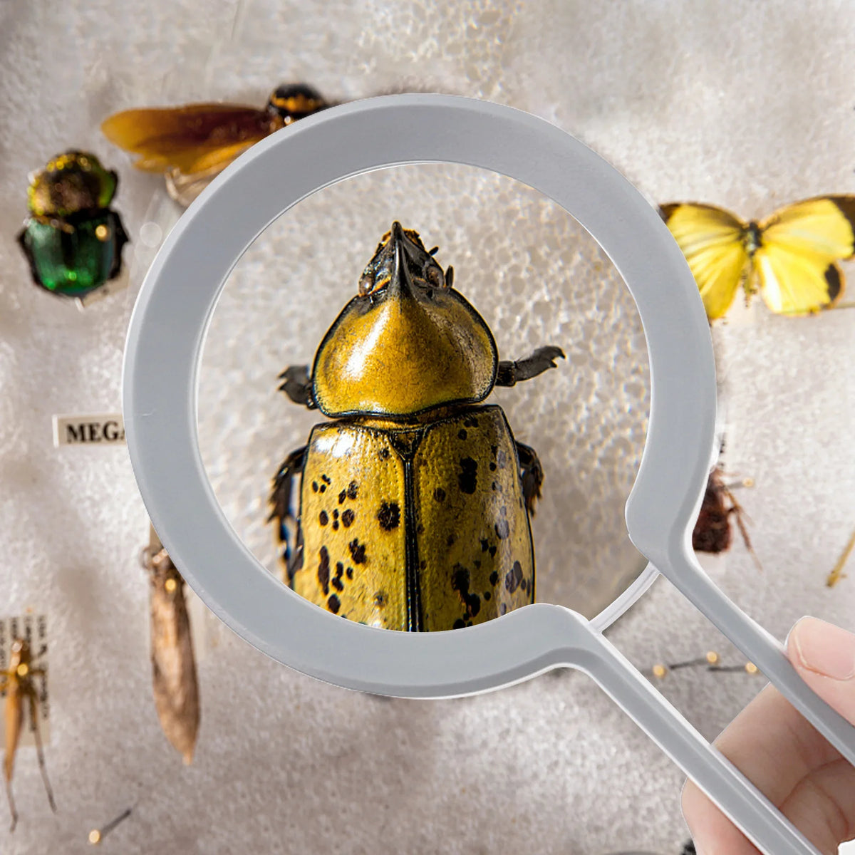Handheld LED Magnifying Glass – High-Power Portable Loupe LED Magnifying Glass Axl