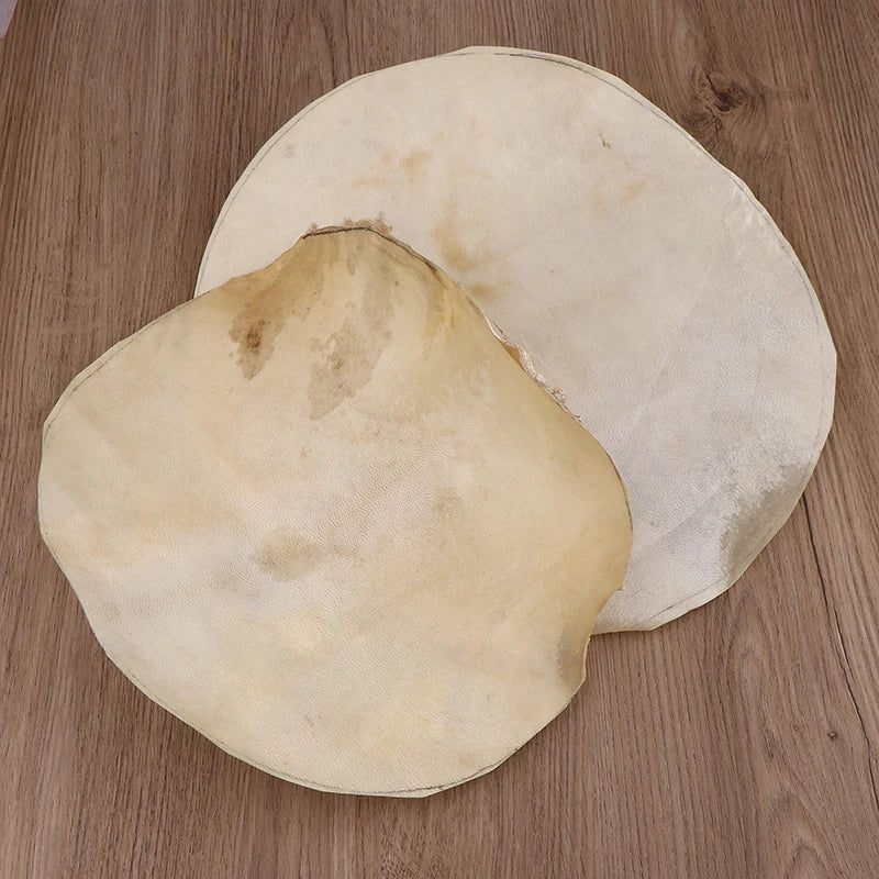 Goat Skin Drum Head 30cm/35cm – Djembe & Bongo Replacement Replacement Drum Head Axl