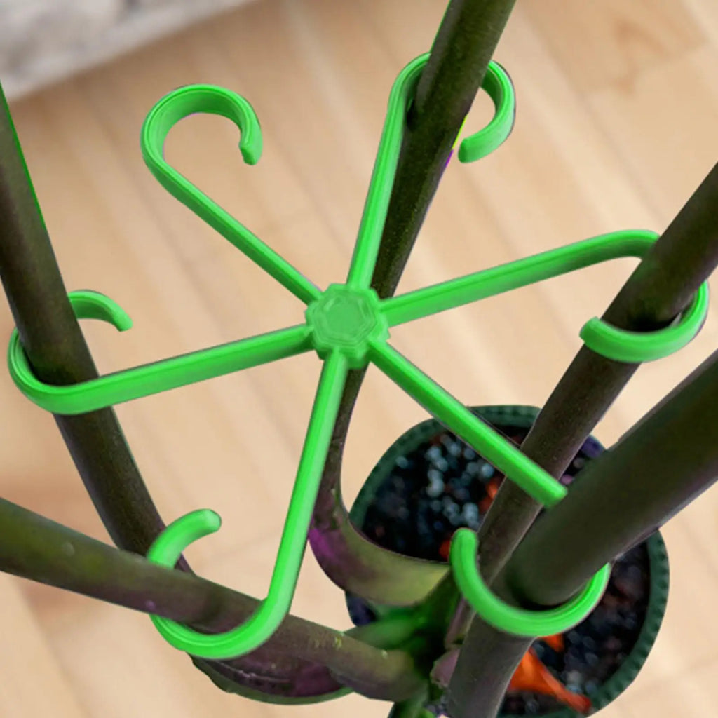 4-Piece Plant Stem Support Set – Climbing Plant Stake Holder Plant Stem Support Axl