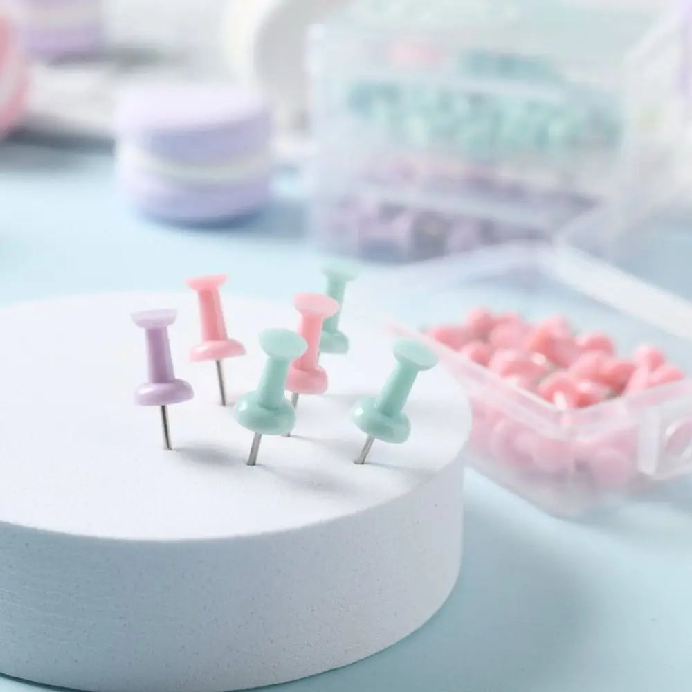 Macaron Color Pushpins – Pastel Plastic Thumb Tacks for Boards Decorative Pushpins Axl