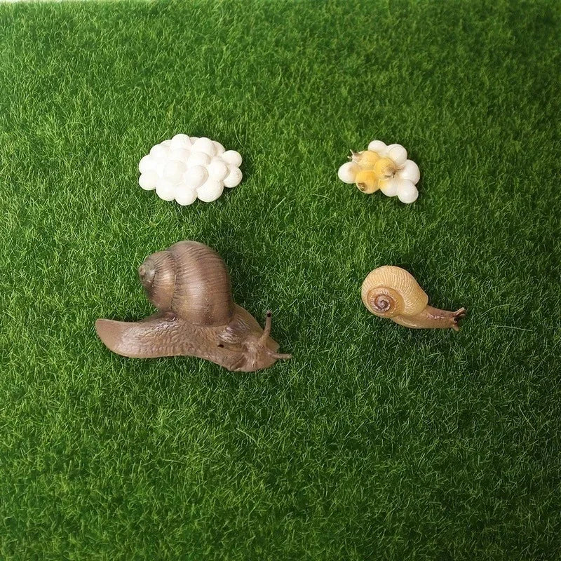 Realistic PVC Snail Animal Model | Kawaii Miniature Garden Decor Miniature Animal Figurine Axl
