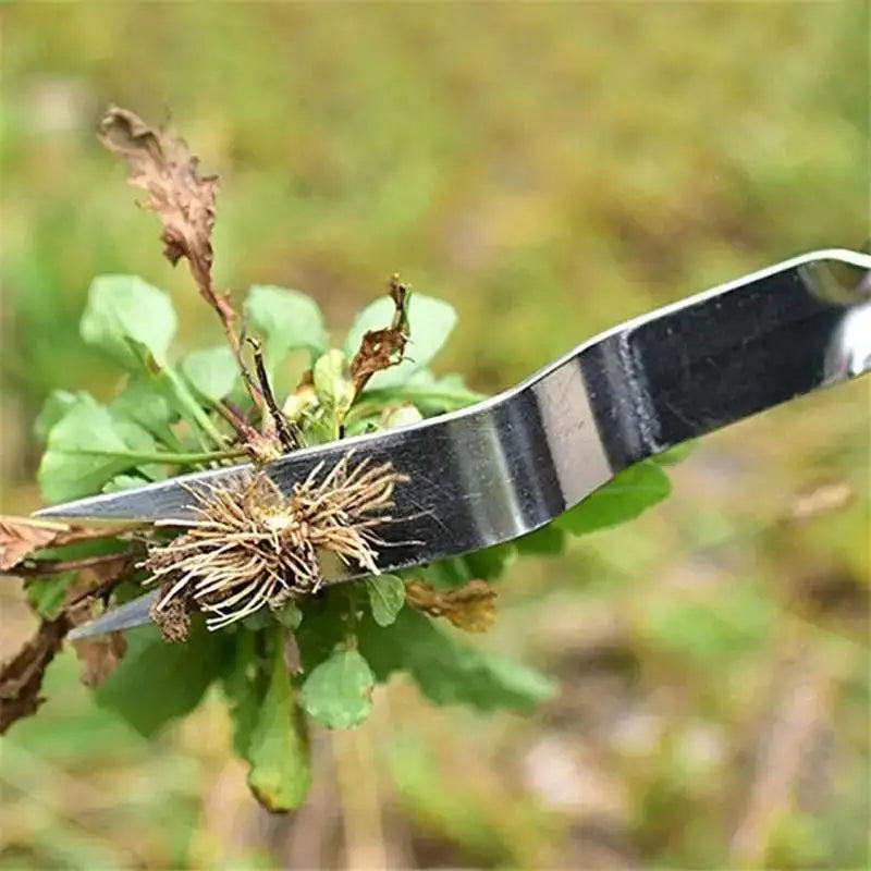 Stainless Steel Garden Weeder & Dandelion Root Remover Tool Garden Weeding Tool Axl