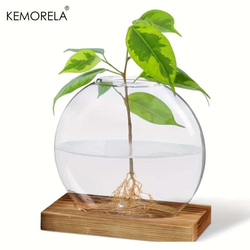 Hydroponic Glass Planter with Wood Stand | Desk Decor Vase Glass Hydroponic Planter Axl