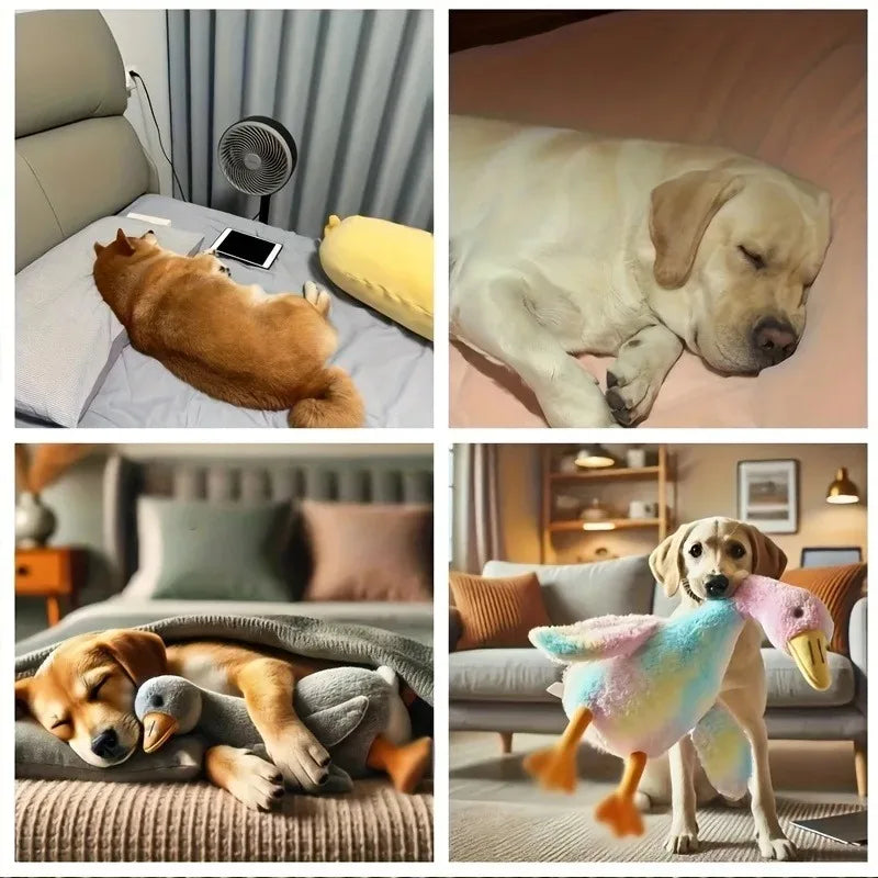 50cm Duck Plush Toy for Dogs & Cats – Soft Colorful Pet Buddy Pet Plush Toy Axl